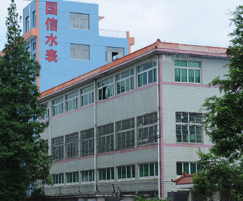 知(zhī)名甯波(bō)水表廠(chǎng)家