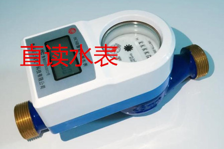 甯波(bo)生産直讀(du)水表的廠(chǎng)家有哪些(xie)?