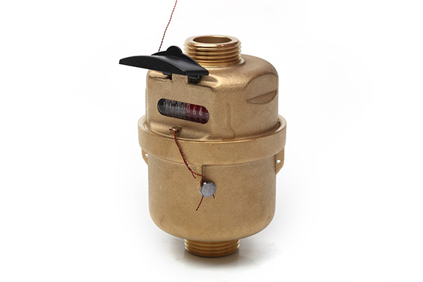 容積式(shì)水表(銅殼(ke))