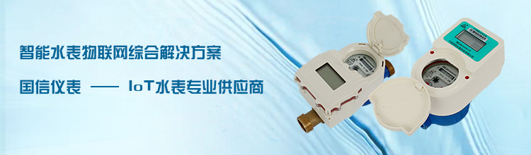 國(guo)信儀表(biǎo)-IOT水表專(zhuan)業供應(yīng)商
